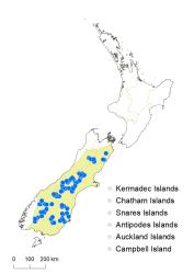 Veronica rakaiensis distribution map based on databased records at AK, CHR & WELT.
 Image: K.Boardman © Landcare Research 2022 CC-BY 4.0